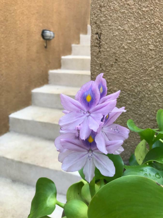 The Daryana Villa อูบุด ภายนอก รูปภาพ